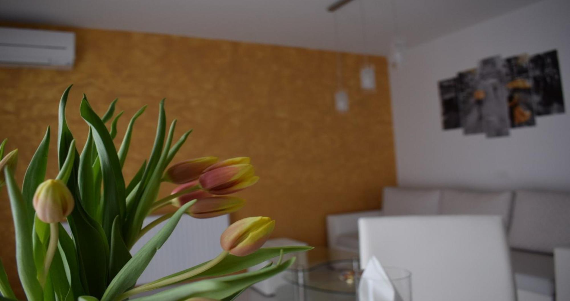 Apartmani Foresta Kras Exterior photo